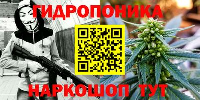 индика Отрадное
