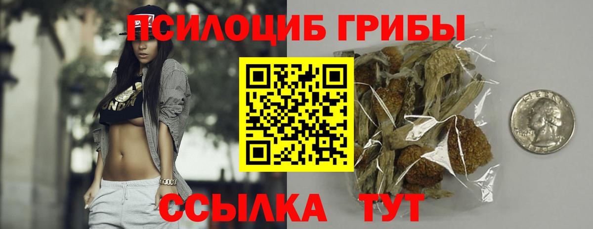 Ачинск  Галлюциногенные грибы Psilocybine cubensis  Вход с VPN 